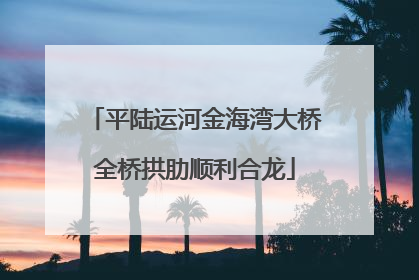 平陆运河金海湾大桥全桥拱肋顺利合龙