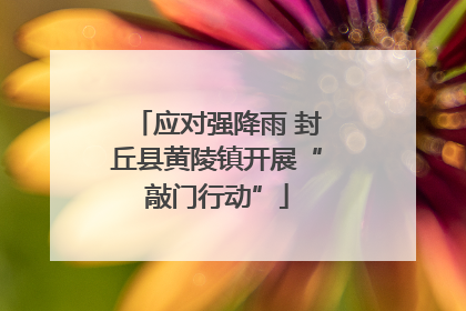 应对强降雨 封丘县黄陵镇开展“敲门行动”