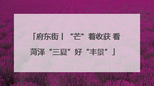 府东街丨“芒”着收获 看菏泽“三夏”好“丰景”