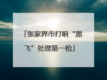 张家界市打响“黑飞”处理第一枪
