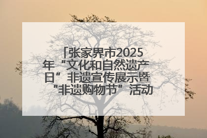 张家界市2025年“文化和自然遗产日”非遗宣传展示暨“非遗购物节”活动在慈利县盛大启幕