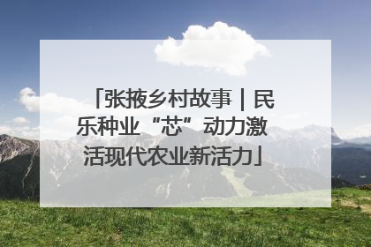 张掖乡村故事｜民乐种业“芯”动力激活现代农业新活力