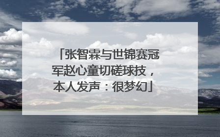 张智霖与世锦赛冠军赵心童切磋球技，本人发声：很梦幻