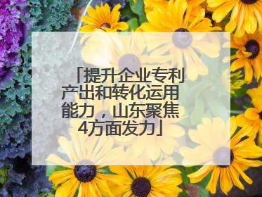 提升企业专利产出和转化运用能力，山东聚焦4方面发力