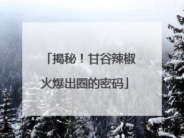 揭秘！甘谷辣椒火爆出圈的密码