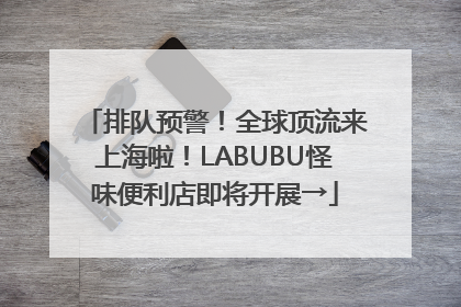 排队预警！全球顶流来上海啦！LABUBU怪味便利店即将开展→