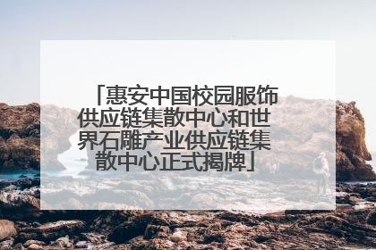 惠安中国校园服饰供应链集散中心和世界石雕产业供应链集散中心正式揭牌
