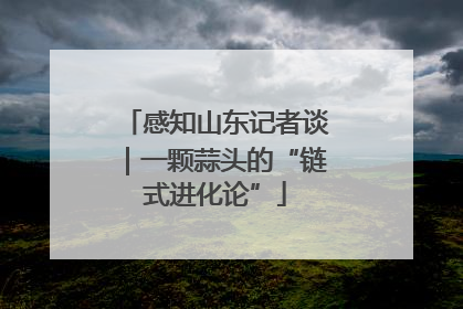 感知山东记者谈｜一颗蒜头的“链式进化论”