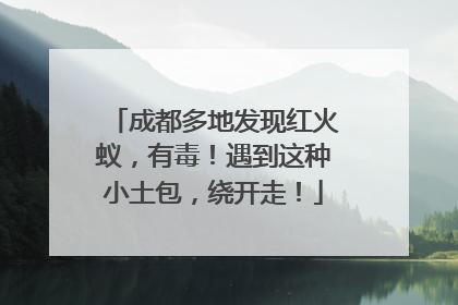 成都多地发现红火蚁，有毒！遇到这种小土包，绕开走！