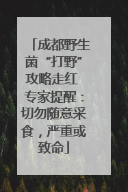 成都野生菌“打野”攻略走红 专家提醒：切勿随意采食，严重或致命
