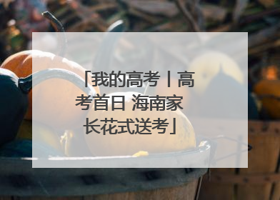 我的高考丨高考首日 海南家长花式送考