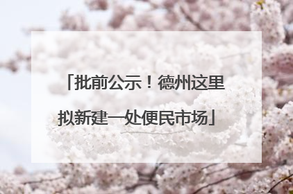批前公示！德州这里拟新建一处便民市场