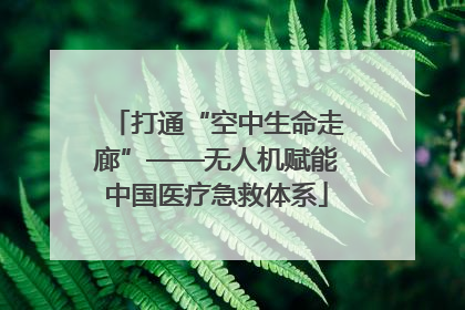 打通“空中生命走廊”——无人机赋能中国医疗急救体系