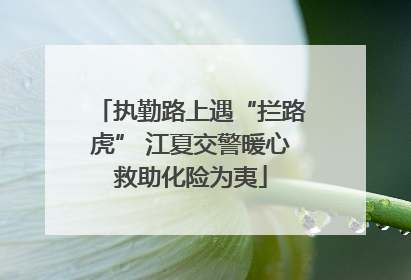执勤路上遇“拦路虎” 江夏交警暖心救助化险为夷