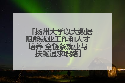 扬州大学以大数据赋能就业工作和人才培养 全链条就业帮扶畅通求职路