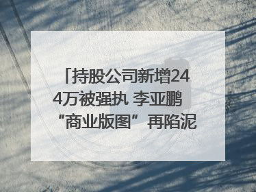 持股公司新增244万被强执 李亚鹏“商业版图”再陷泥潭？｜科技观察