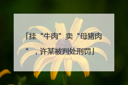挂“牛肉”卖“母猪肉”，许某被判处刑罚