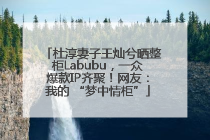 杜淳妻子王灿兮晒整柜Labubu，一众爆款IP齐聚！网友：我的 “梦中情柜”