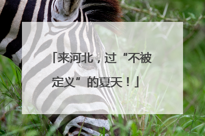来河北，过“不被定义”的夏天！