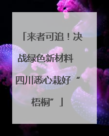 来者可追！决战绿色新材料 四川悉心栽好“梧桐”