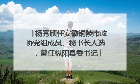 杨秀颀任安徽铜陵市政协党组成员、秘书长人选，曾任枞阳县委书记
