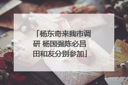 杨东奇来我市调研 杨国强陈必昌田和友分别参加