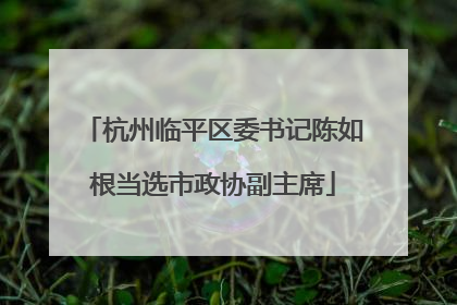 杭州临平区委书记陈如根当选市政协副主席