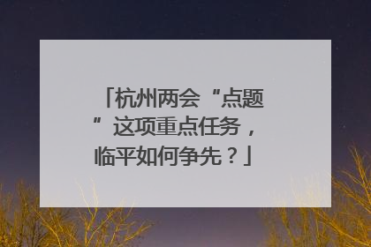 杭州两会“点题”这项重点任务，临平如何争先？