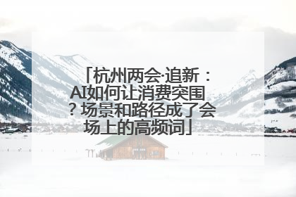 杭州两会·追新：AI如何让消费突围？场景和路径成了会场上的高频词