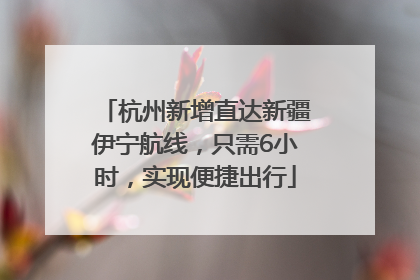 杭州新增直达新疆伊宁航线，只需6小时，实现便捷出行