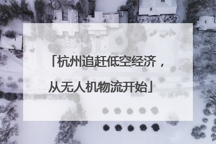 杭州追赶低空经济，从无人机物流开始
