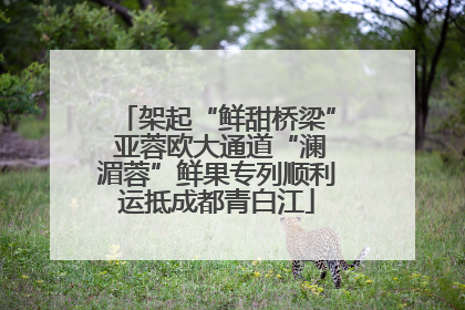 架起“鲜甜桥梁” 亚蓉欧大通道“澜湄蓉”鲜果专列顺利运抵成都青白江
