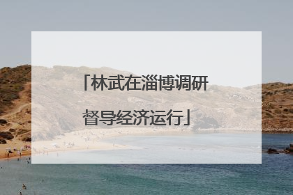 林武在淄博调研督导经济运行