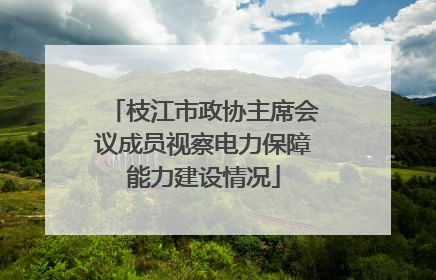 枝江市政协主席会议成员视察电力保障能力建设情况