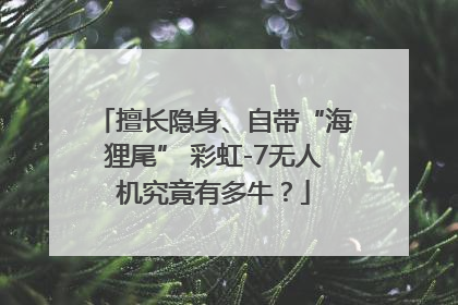 擅长隐身、自带“海狸尾” 彩虹-7无人机究竟有多牛？