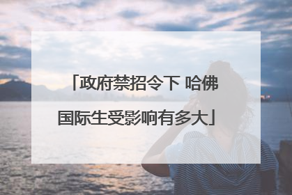 政府禁招令下 哈佛国际生受影响有多大