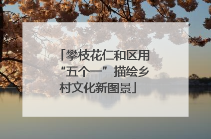 攀枝花仁和区用“五个一”描绘乡村文化新图景