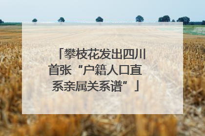 攀枝花发出四川首张“户籍人口直系亲属关系谱”