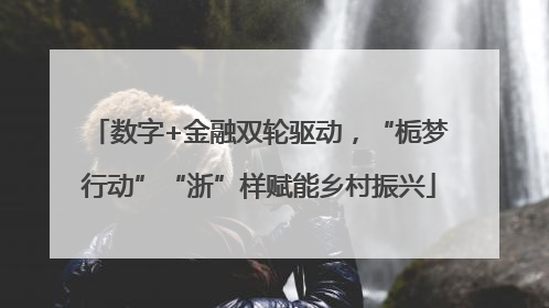 数字+金融双轮驱动，“栀梦行动”“浙”样赋能乡村振兴