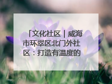 文化社区｜威海市环翠区北门外社区：打造有温度的文化社区