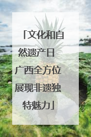 文化和自然遗产日 广西全方位展现非遗独特魅力