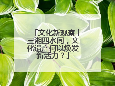 文化新观察丨三湘四水间，文化遗产何以焕发新活力？