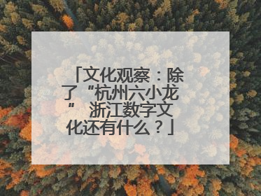 文化观察：除了“杭州六小龙” 浙江数字文化还有什么？