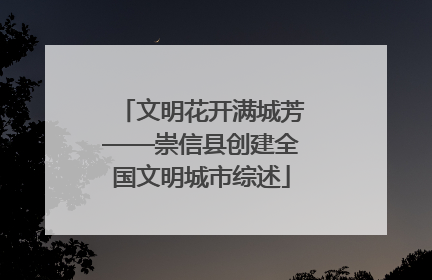 文明花开满城芳——崇信县创建全国文明城市综述