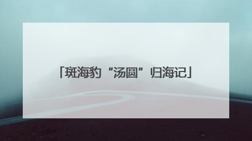 斑海豹“汤圆”归海记