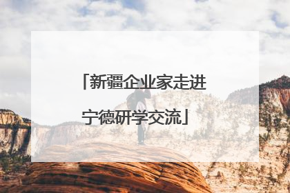 新疆企业家走进宁德研学交流