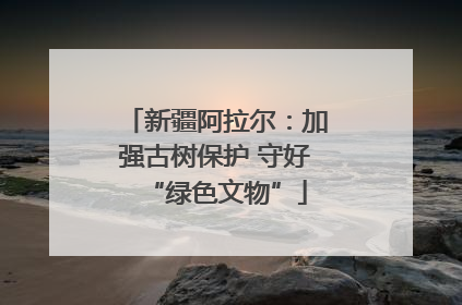 新疆阿拉尔：加强古树保护 守好“绿色文物”