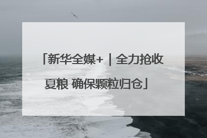 新华全媒+｜全力抢收夏粮 确保颗粒归仓