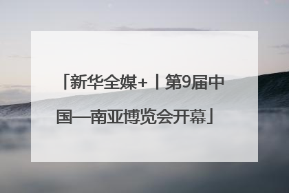 新华全媒+丨第9届中国—南亚博览会开幕