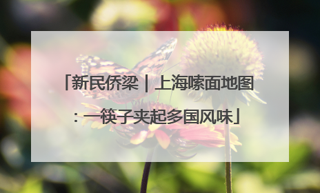 新民侨梁｜上海嗦面地图：一筷子夹起多国风味